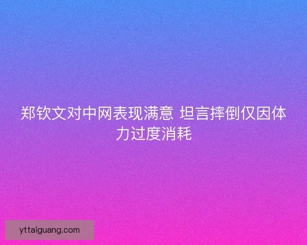 郑钦文对中网表现满意 坦言摔倒仅因体力过度消耗