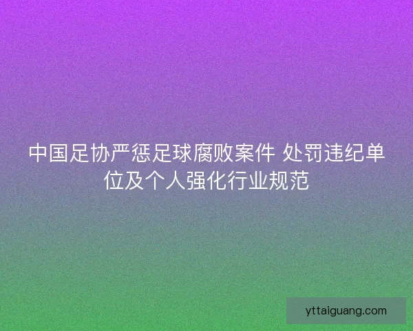 中国足协严惩足球腐败案件 处罚违纪单位及个人强化行业规范